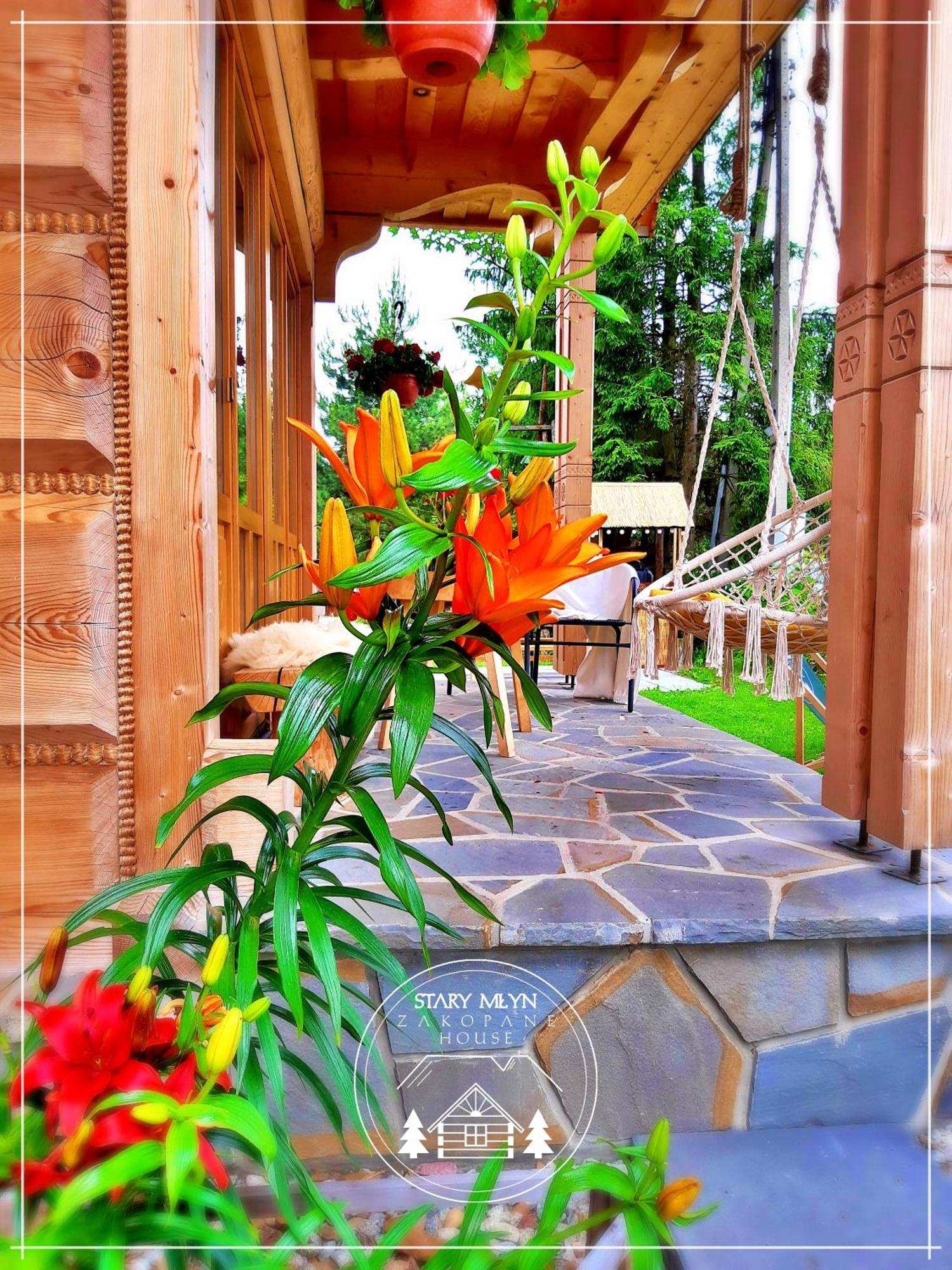 Domek Goralski Stary Mlyn Zakopane House Kültér fotó